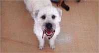 daycare pic - Bailey B